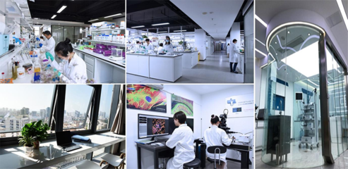 青岛大学青岛肿瘤研究院2023年招聘制剂、植物化学、中药学、器械研发方向青年博士